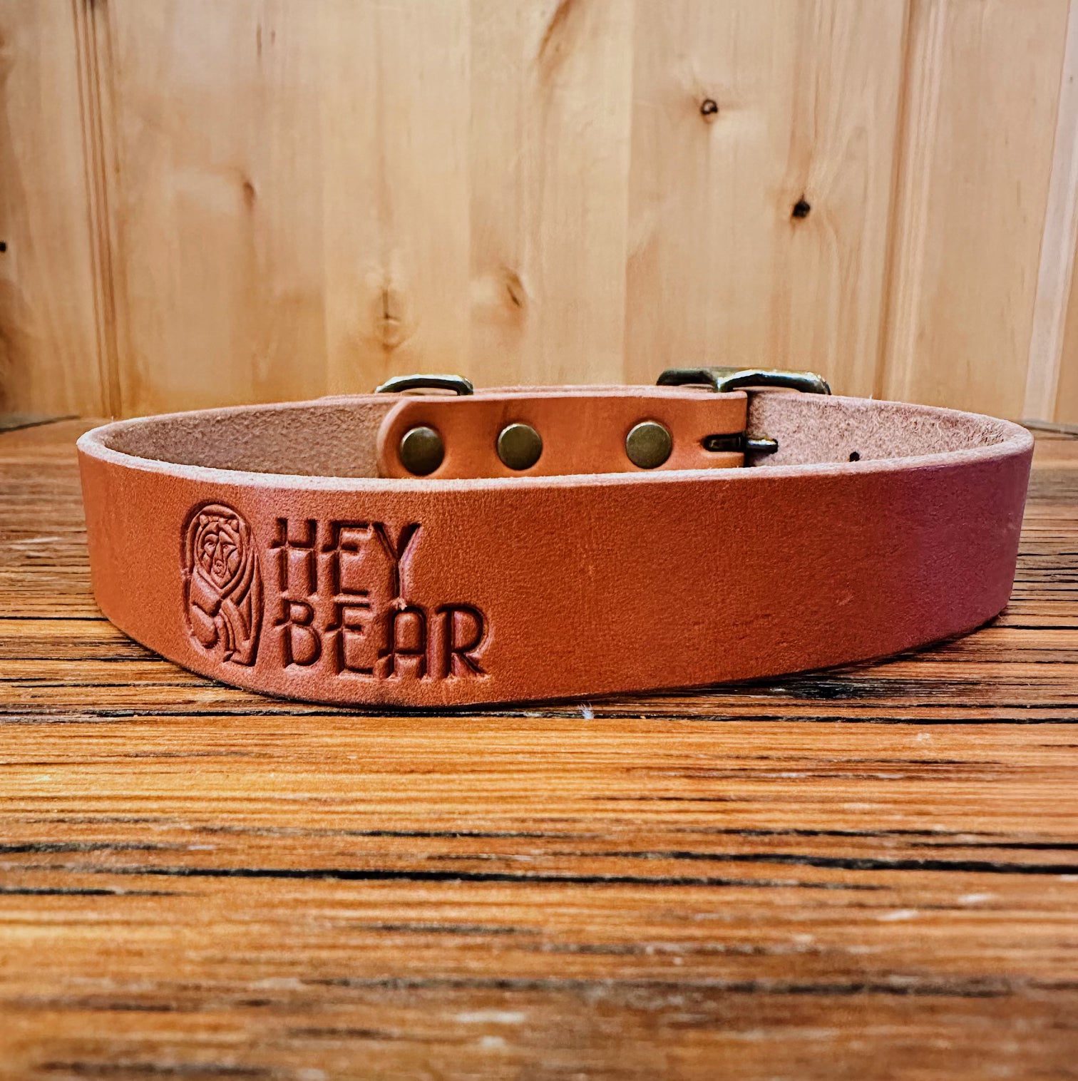 Bear dog collar hotsell